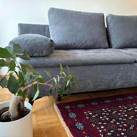 Ljubljanica Apartment Ljubljana Bagian luar foto