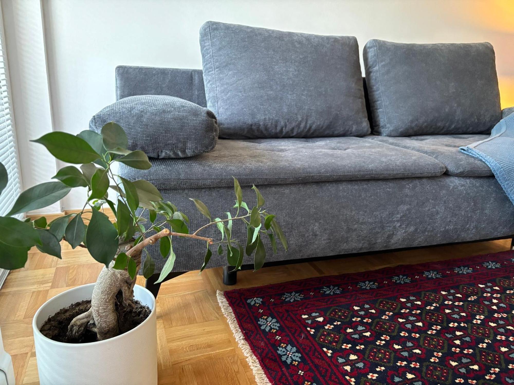 Ljubljanica Apartment Ljubljana Bagian luar foto