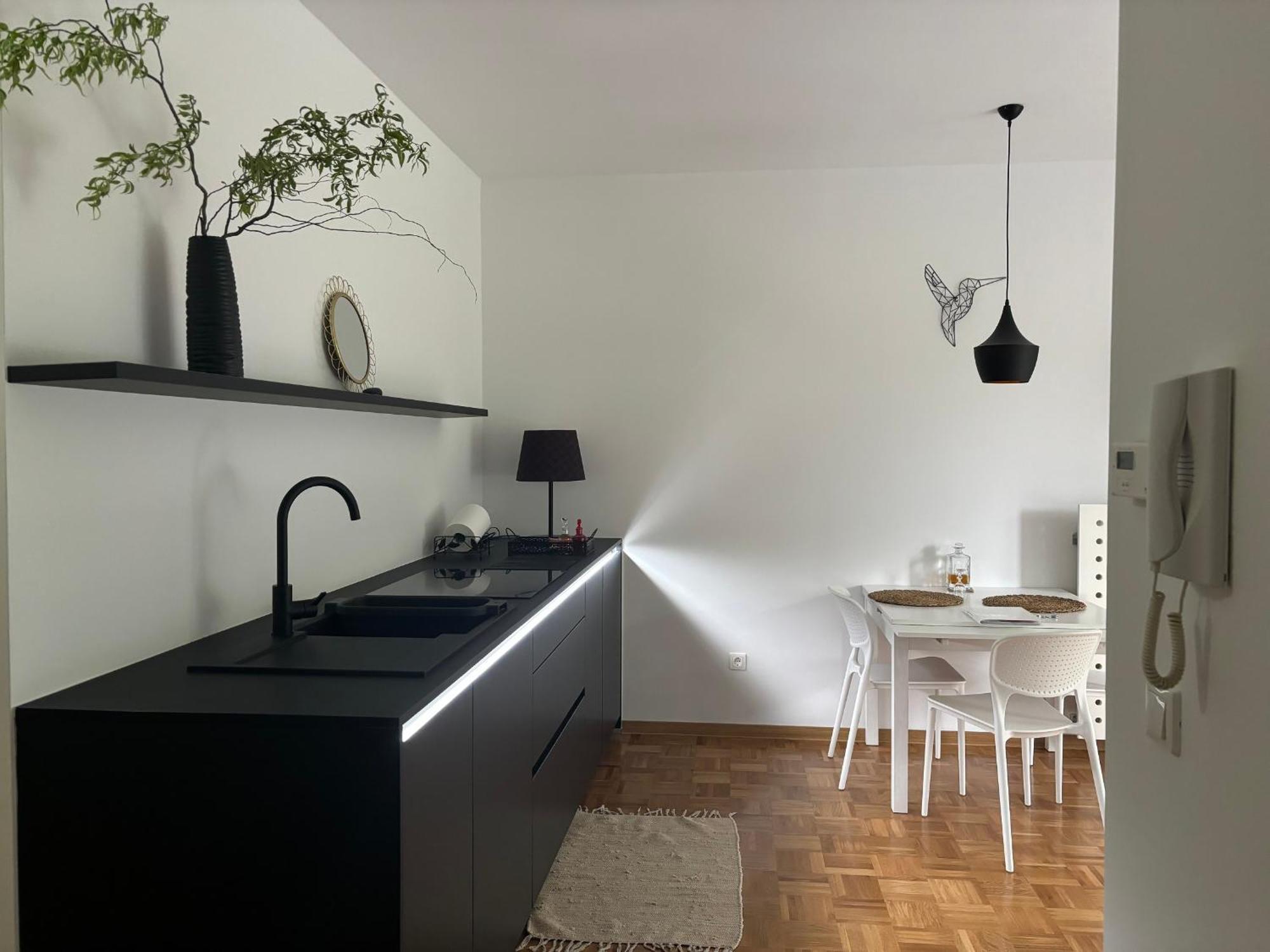 Ljubljanica Apartment Ljubljana Bagian luar foto